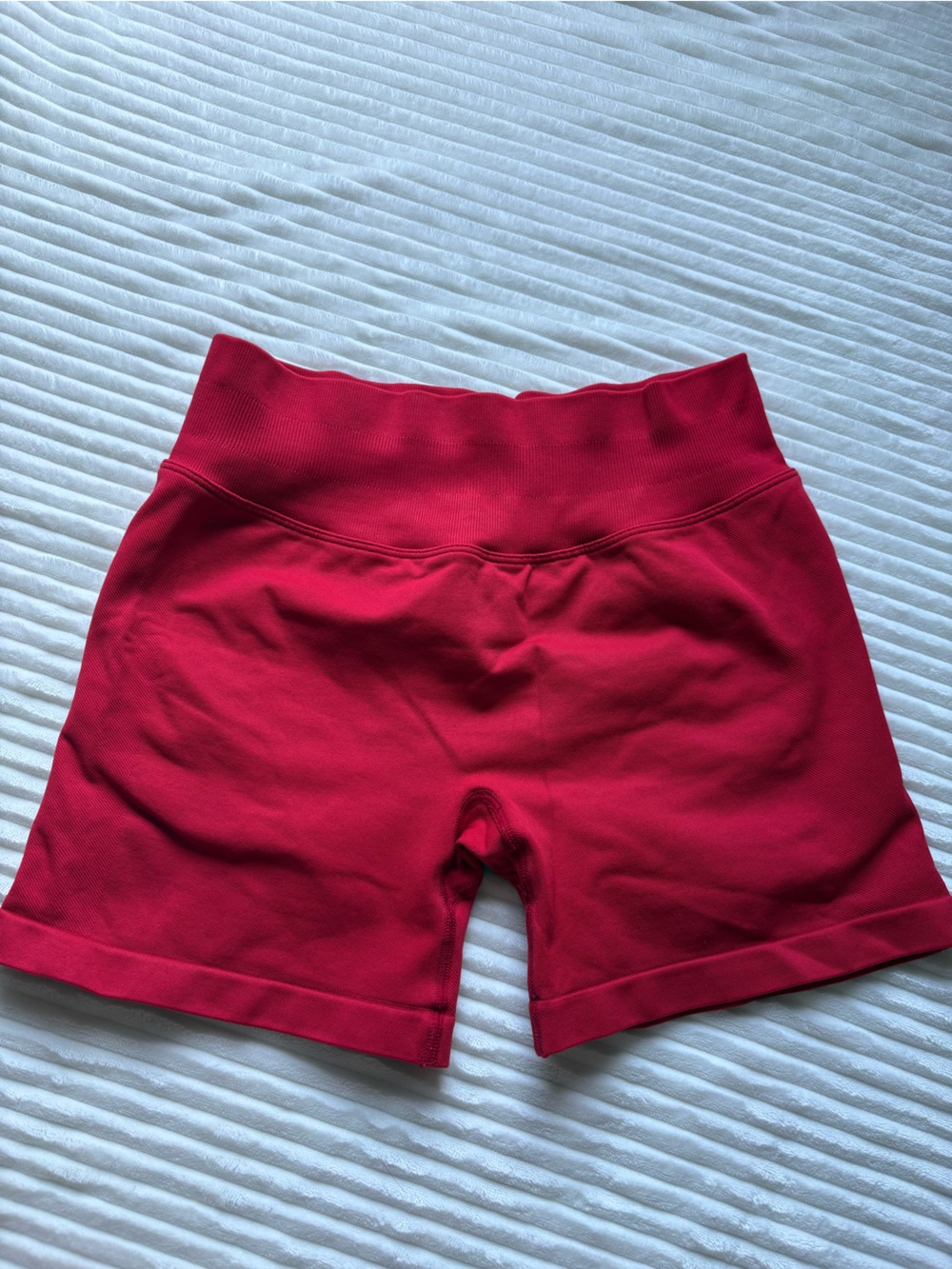 BBL Shorts